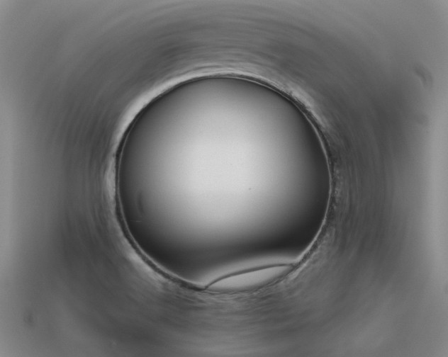 X0000113611516200909181408