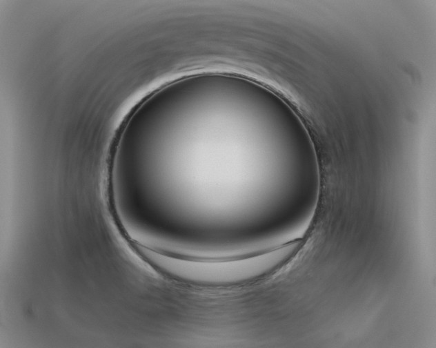 X0000113611518200909181408