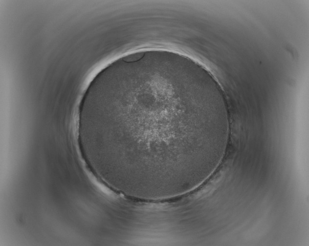 X0000113611519200909181408