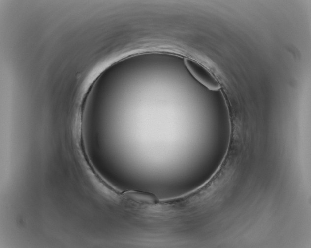 X0000113611520200909181408