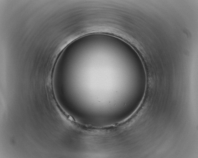 X0000113611521200909181408