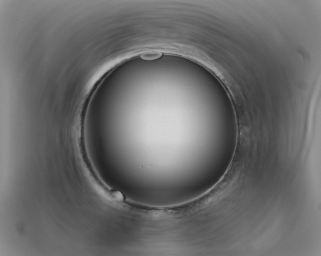 X0000113611523200909181408