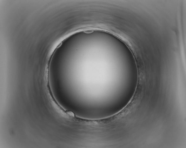 X0000113611524200909181408