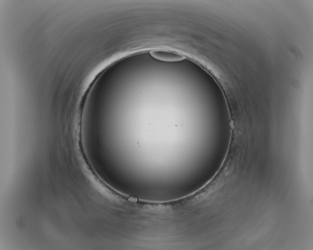 X0000113611526200909181409