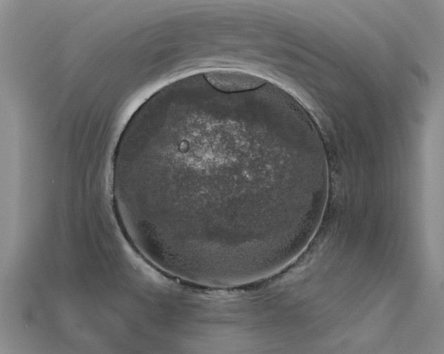 X0000113611527200909181409