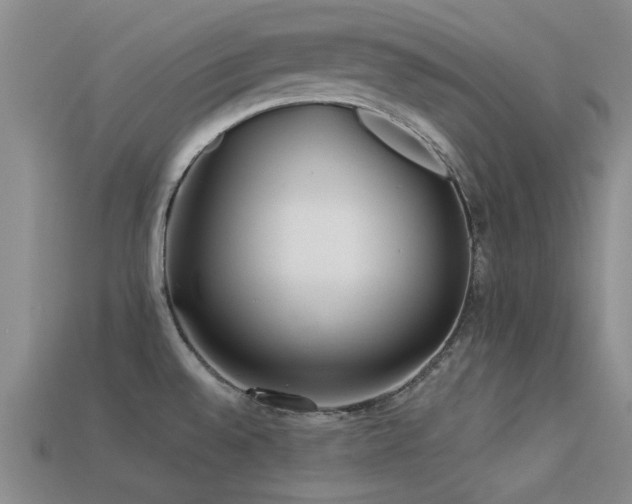 X0000113611528200909181409