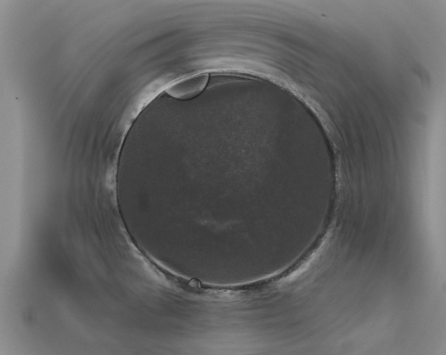 X0000113611529200909181409