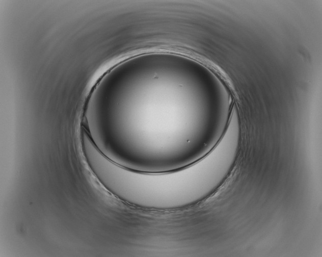 X0000113611530200909181409