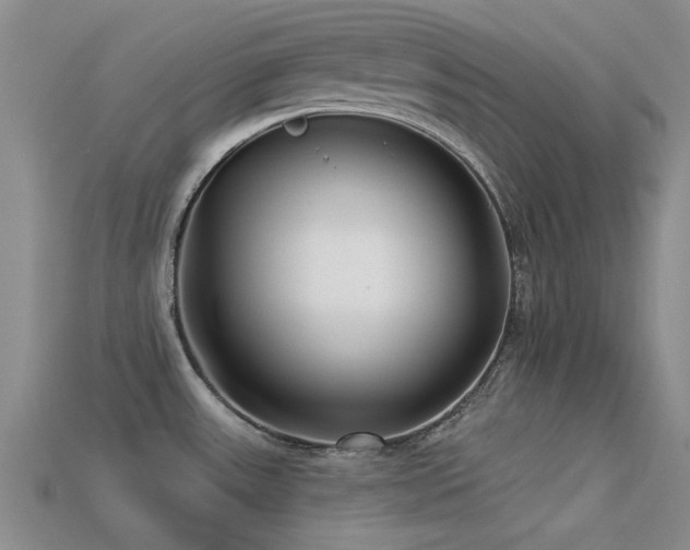 X0000113611531200909181409