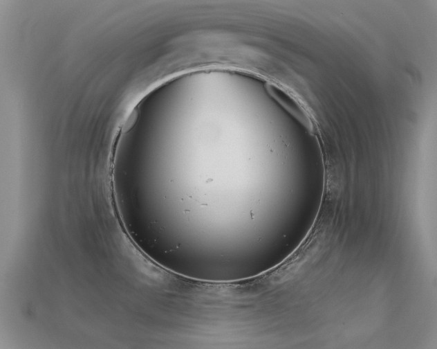 X0000113611532200909181409