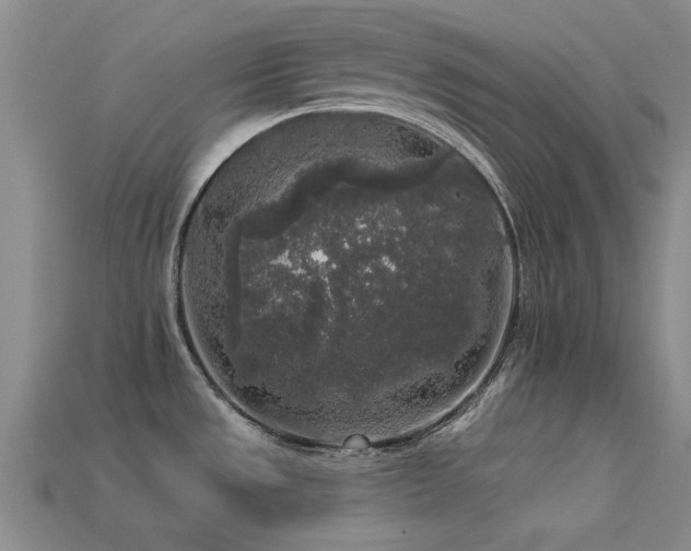 X0000113611533200909181409