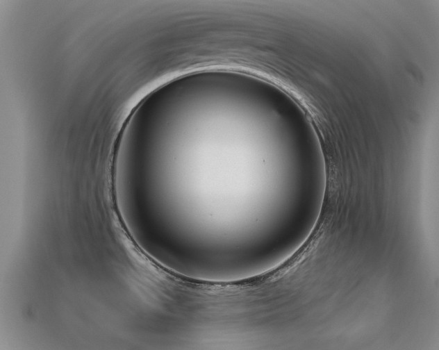 X0000113611534200909181409