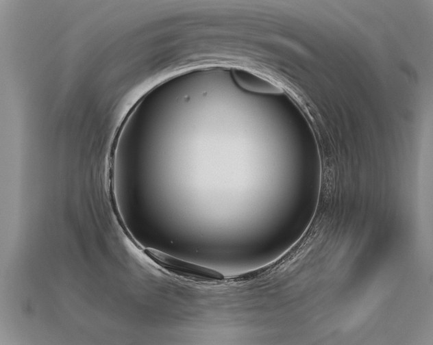 X0000113611535200909181409