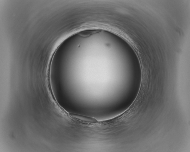 X0000113611536200909181409