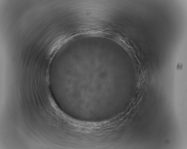 X0000113610002200909251153