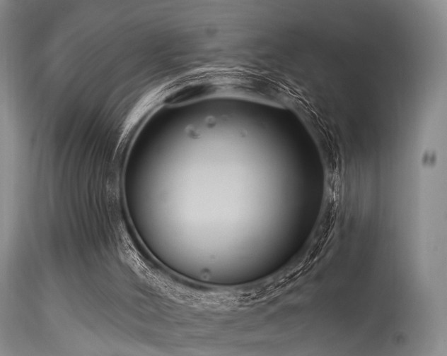 X0000113610004200909251153