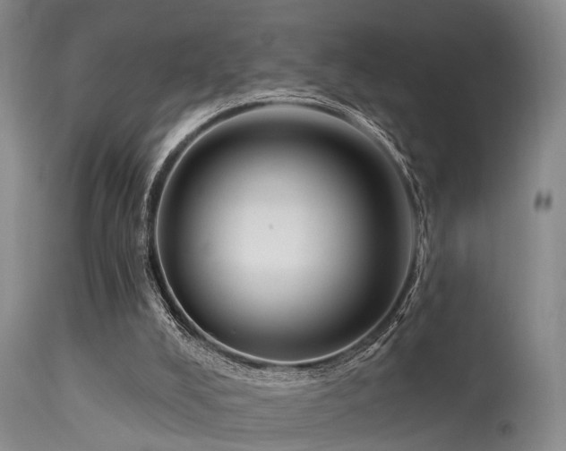 X0000113610008200909251153