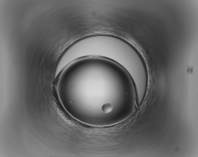 X0000113610009200909251153