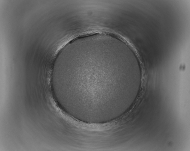 X0000113610010200909251153