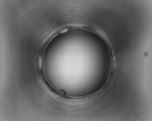 X0000113610013200909251153