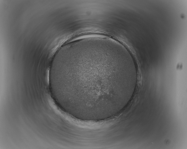 X0000113610014200909251153