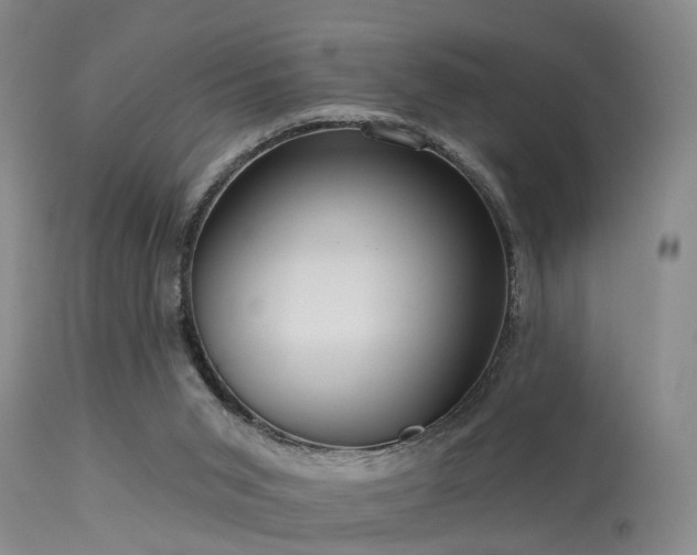 X0000113610015200909251153