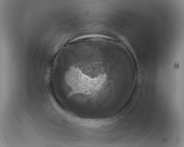 X0000113610018200909251153