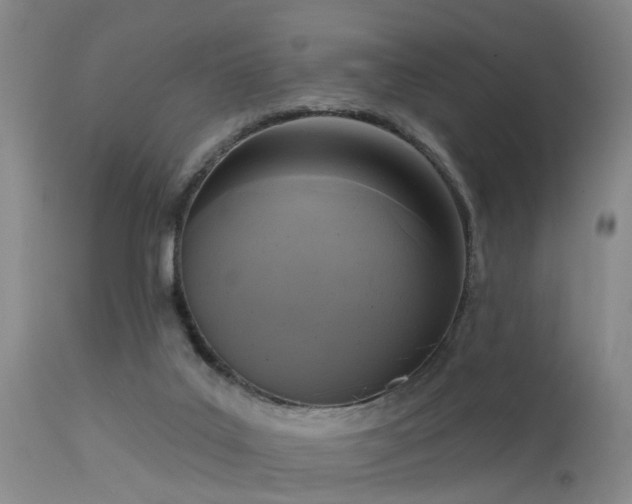 X0000113610019200909251153