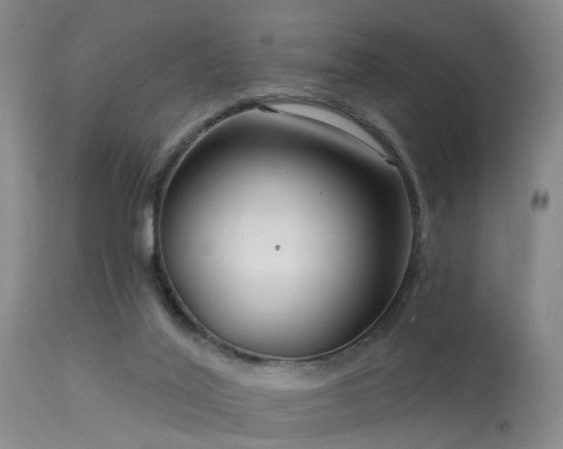 X0000113610020200909251153