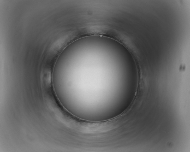 X0000113610021200909251153