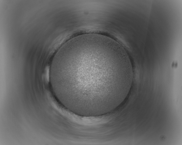 X0000113610022200909251153