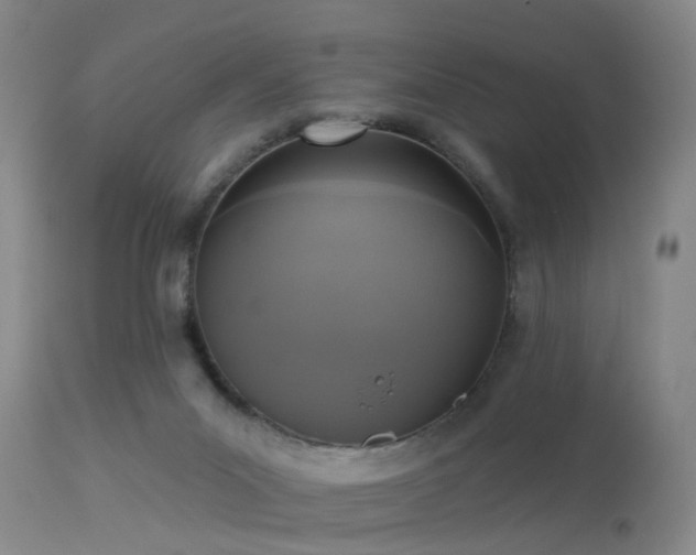 X0000113610023200909251153