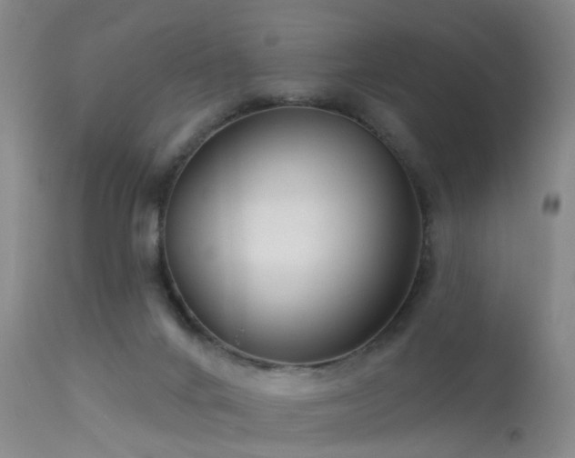 X0000113610024200909251153