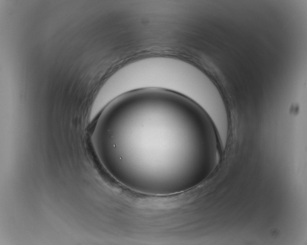 X0000113610025200909251153