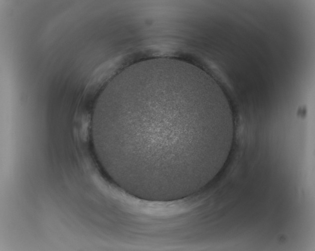 X0000113610026200909251153