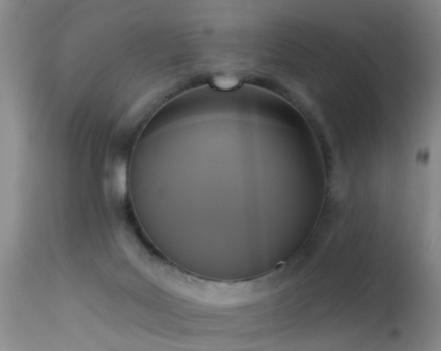 X0000113610027200909251153