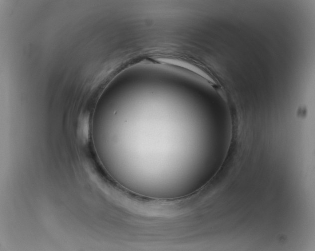 X0000113610028200909251153