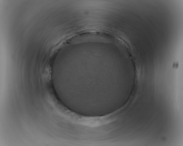 X0000113610029200909251153