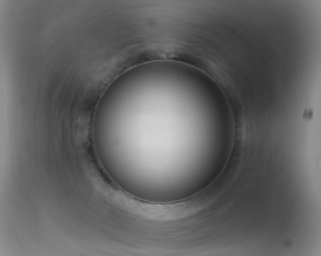 X0000113610030200909251153