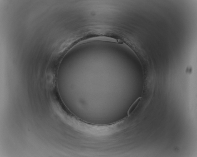 X0000113610031200909251153