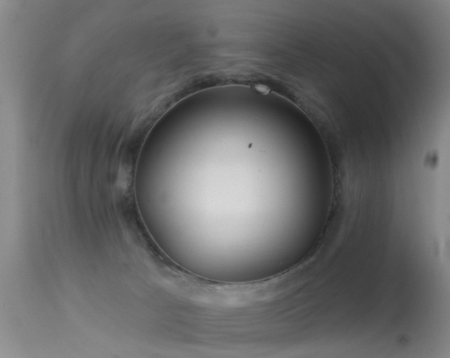 X0000113610033200909251153