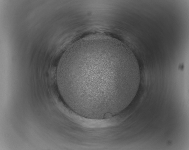 X0000113610034200909251153