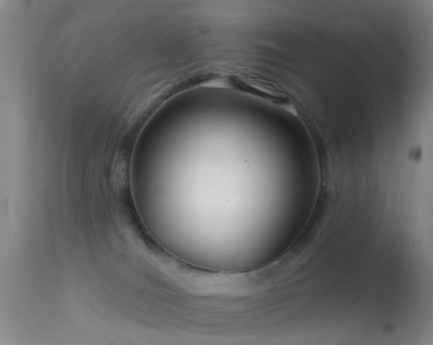 X0000113610036200909251153