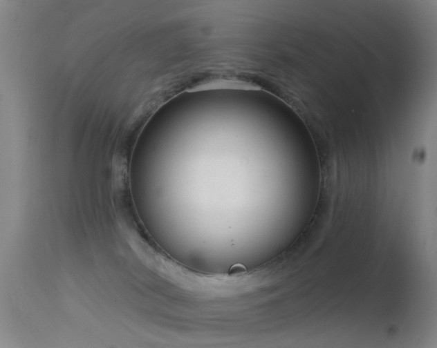 X0000113610038200909251153