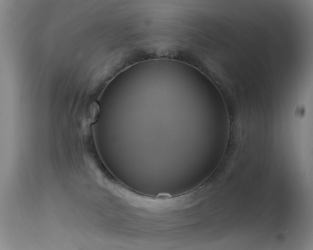 X0000113610039200909251153