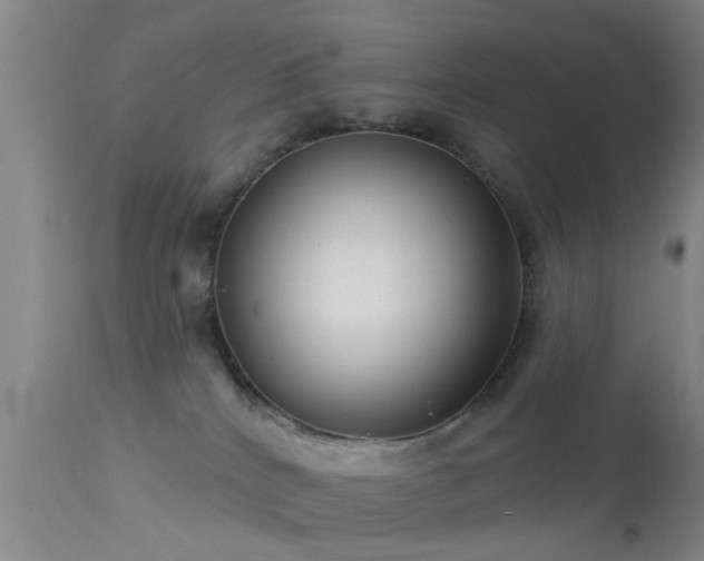 X0000113610040200909251153