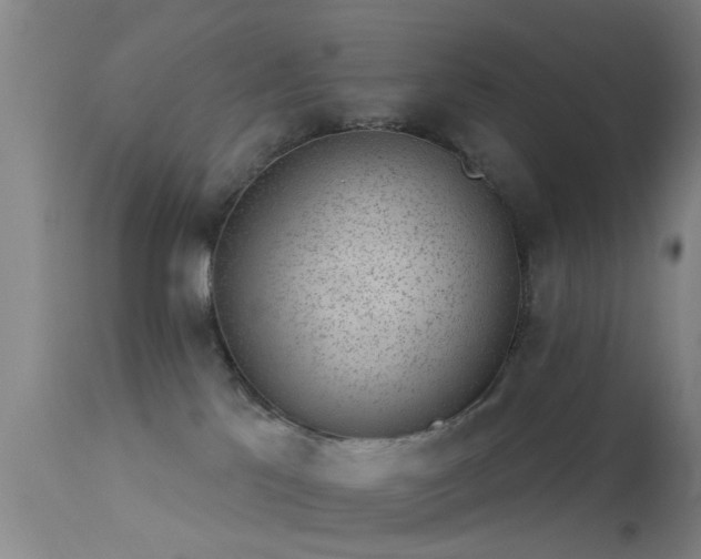 X0000113610041200909251153