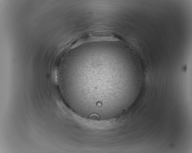 X0000113610042200909251153