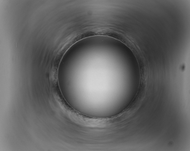 X0000113610044200909251153