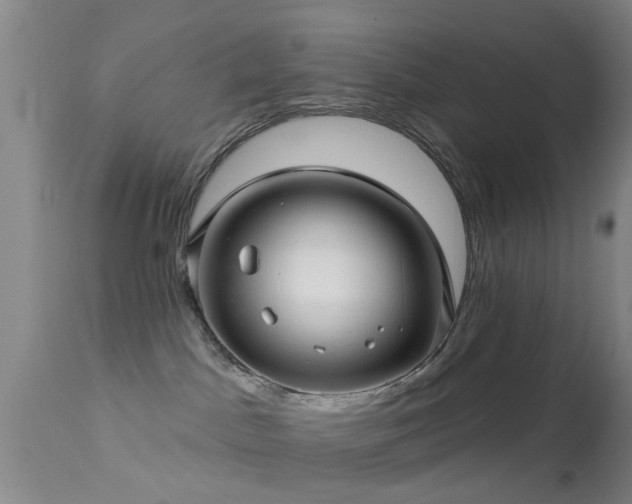 X0000113610045200909251153